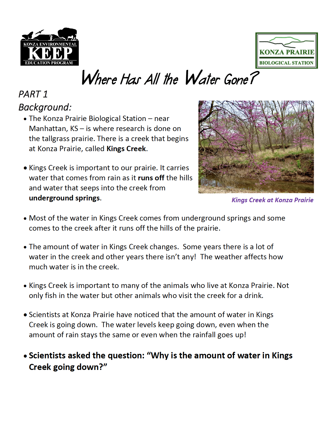 Water worksheet