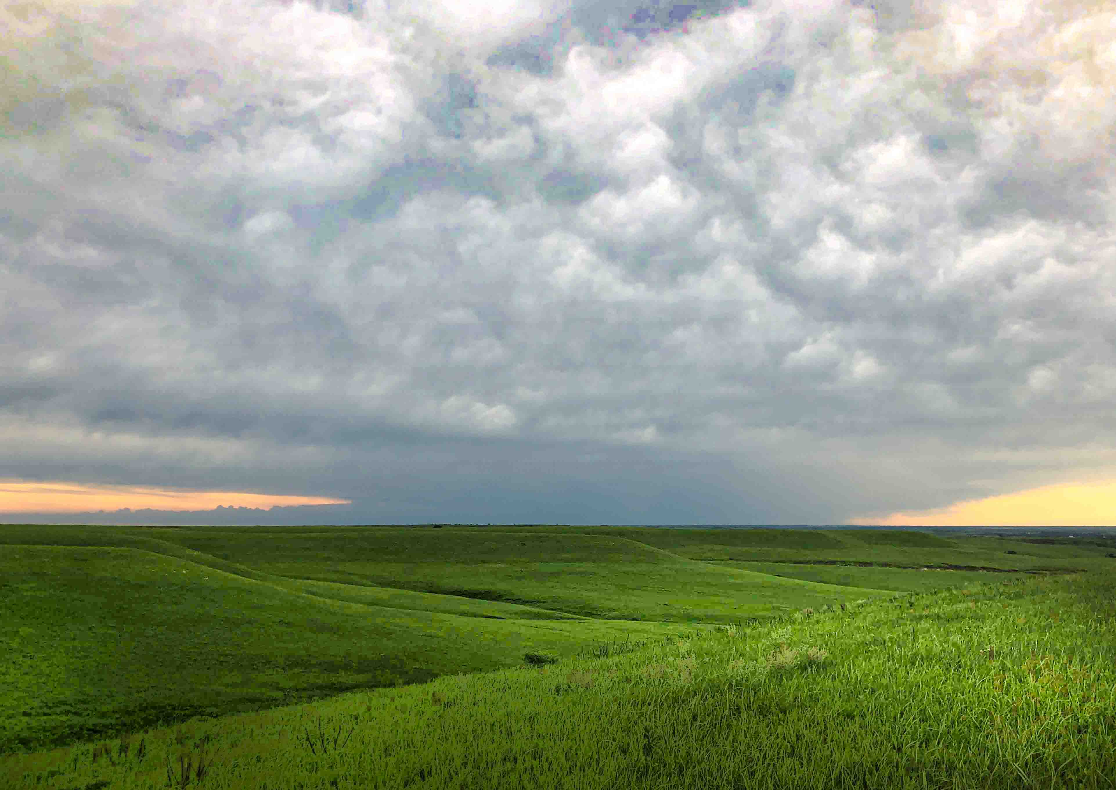 Prairie vista